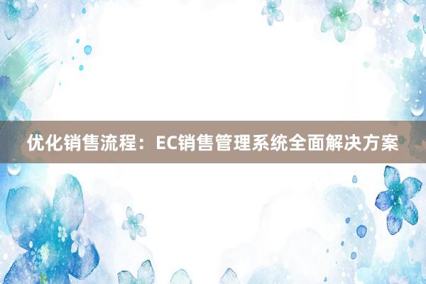 优化销售流程：EC销售管理系统全面解决方案